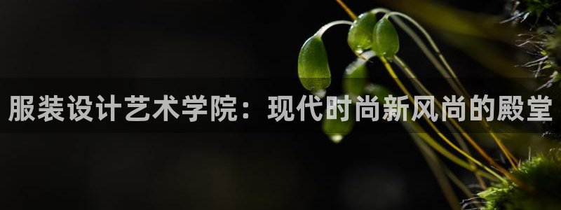 乐发大小单双平台