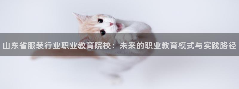 乐发彩票平台wx17 com