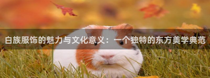 乐发IV投大小平台