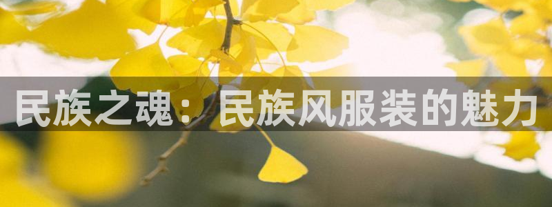 发乐发彩票平台注册