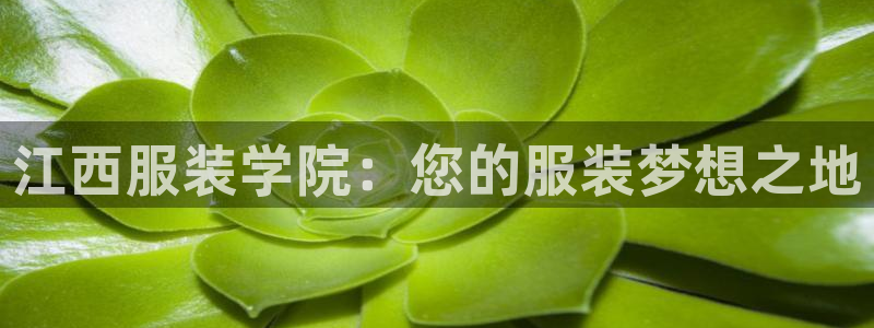 乐发平台网址多少