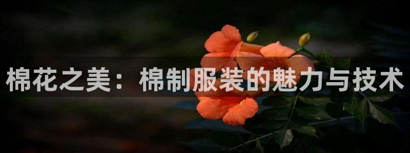 乐发平台下载官网