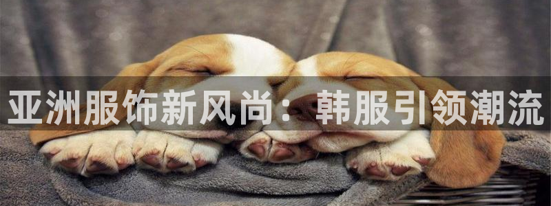 乐发1平台下载安装