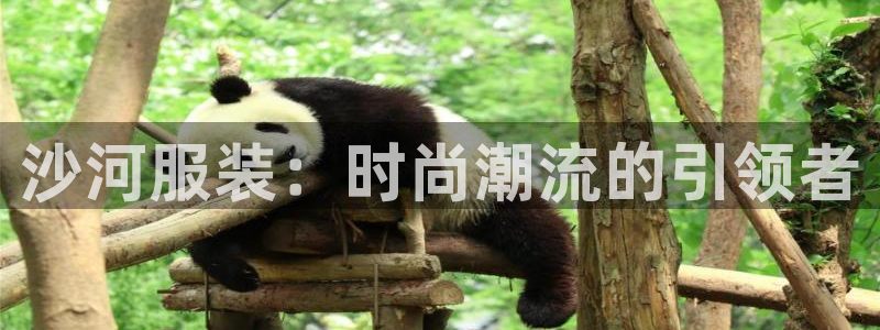 乐发平台怎么样可靠吗：沙河服装：时尚潮流