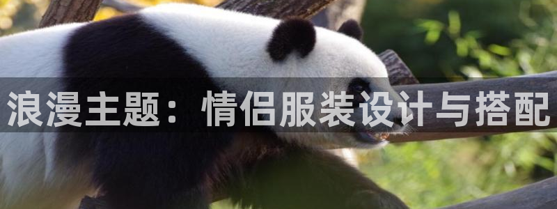 乐发快3大小单双平台