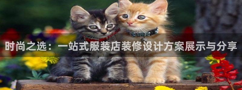 乐发平台邀请码合集在哪：时尚之选：一站式