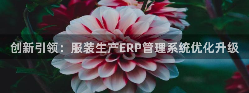 乐发彩票平台下载