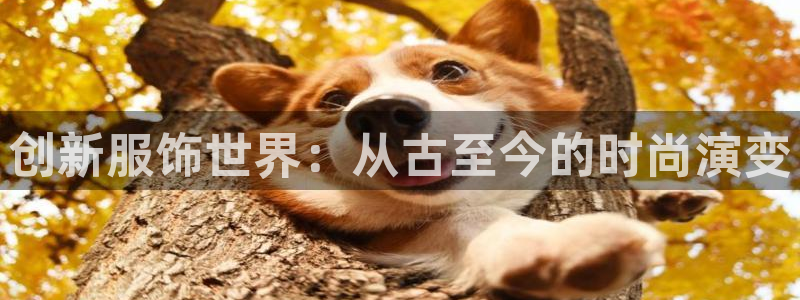 快3平台 官网下载乐发