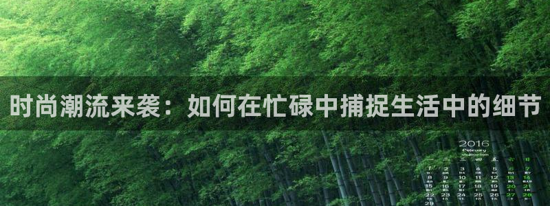 乐发快三彩票平台下载
