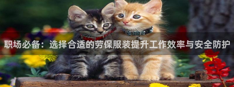 乐享发圈平台