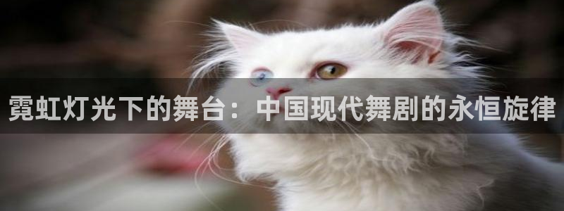 乐发l官方平台：霓虹灯光下的舞台：中国现