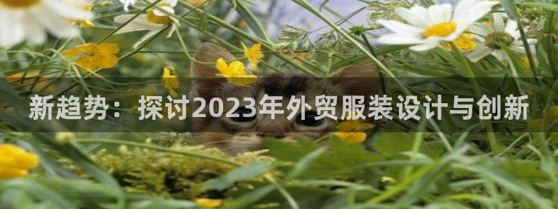 乐发平台杀猪盘
