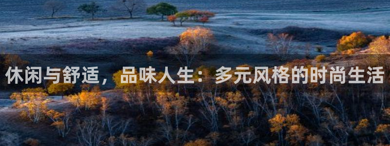 乐发平台为什么打不开了：休闲与舒适，品味
