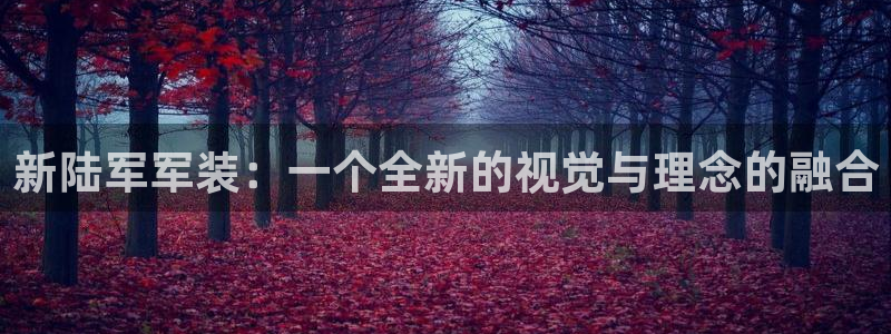 乐发大小平台