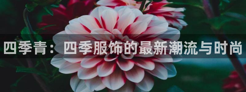乐发彩票平台后方
