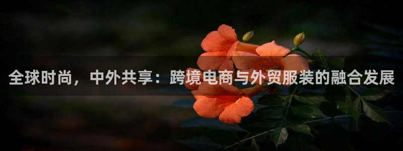 乐贷公告是什么平台发的