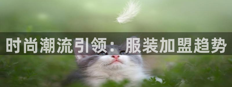 乐发平台赚钱技巧