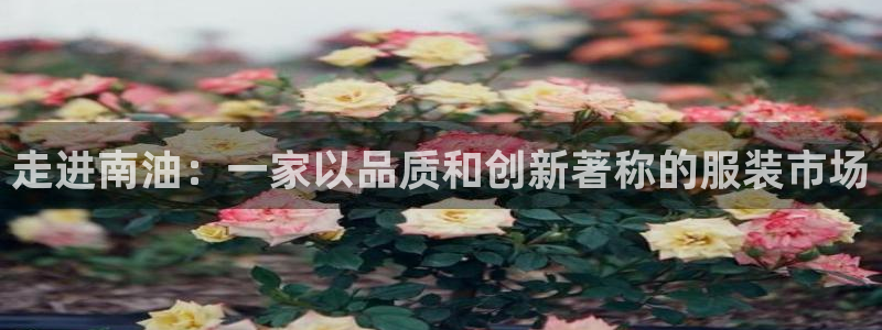 乐发邀请码平台是什么