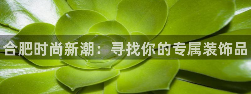 乐豪发游戏平台