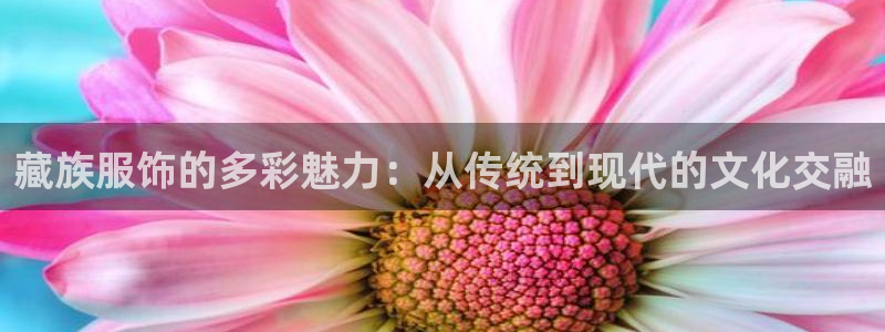 乐发传媒平台是查封了吗
