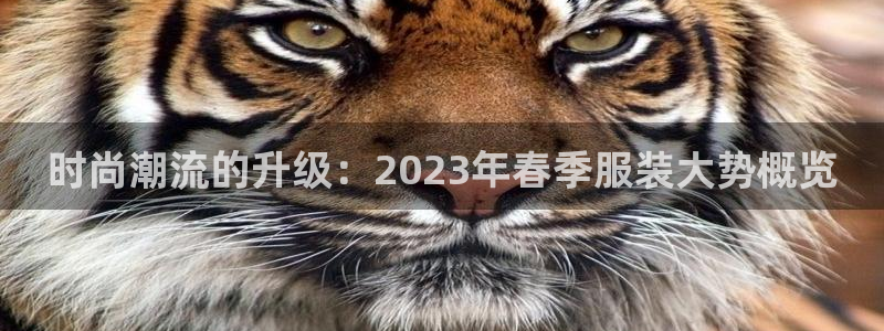 乐发旗下的平台有多少