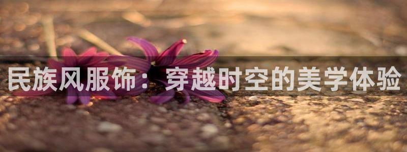 乐发平台下载安装官网