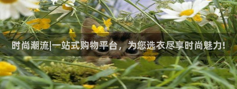 乐购平台发口罩