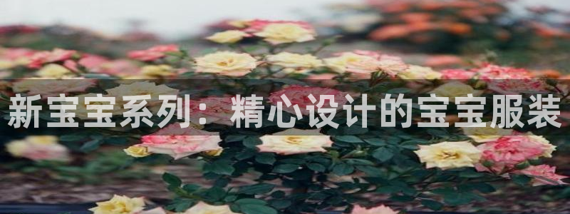 澳门乐发开户游戏平台