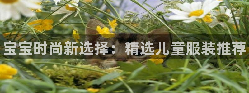 乐发彩票平台入口在哪