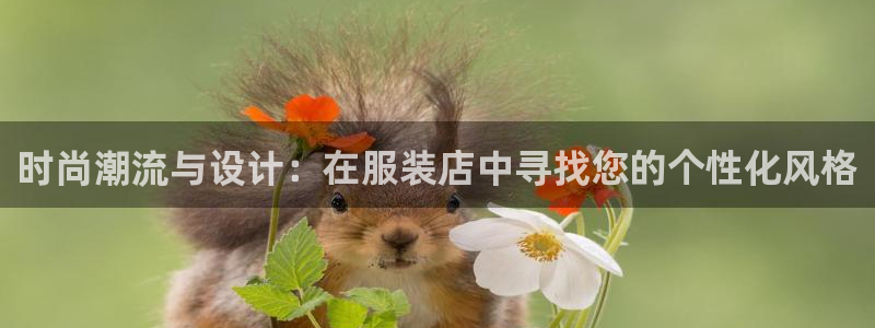 乐发彩票平台官网