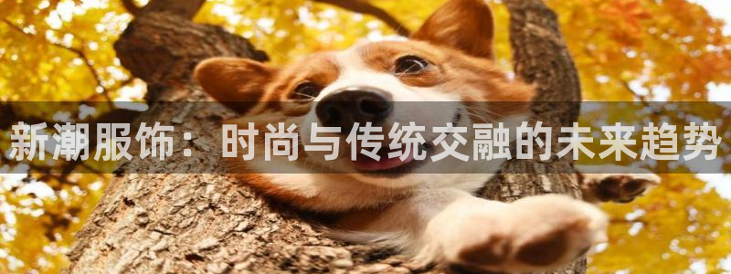 乐发彩票平台app下载