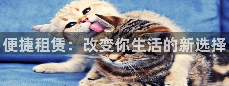 乐发国际平台怎么样