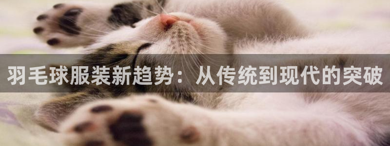 乐发彩票平台下载手机版