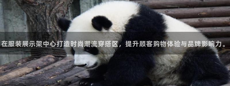 乐发彩票平台怎么样啊