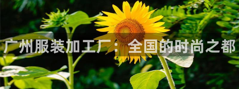 乐发体育平台官网下载