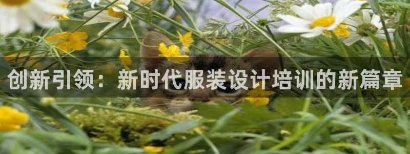 乐发ii下载平台