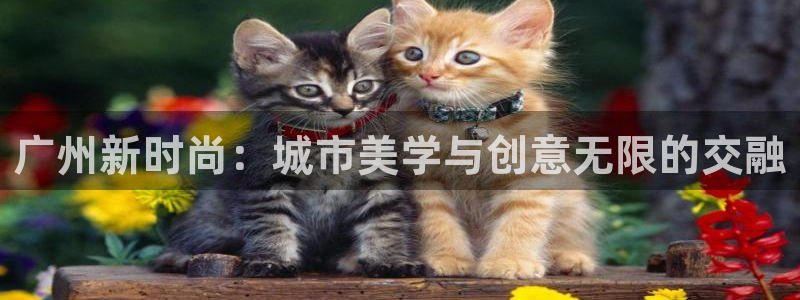 乐彩轩平台指尖发