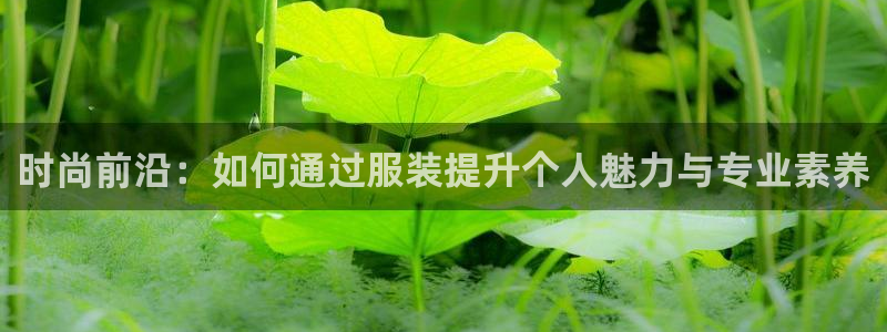 乐发平台官网邀请码