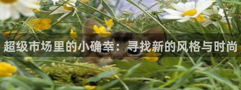 乐发国际 皇恩a平台