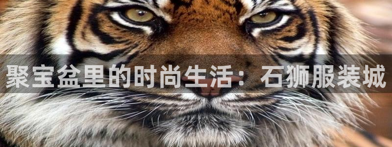 乐赚发圈平台有风险嘛