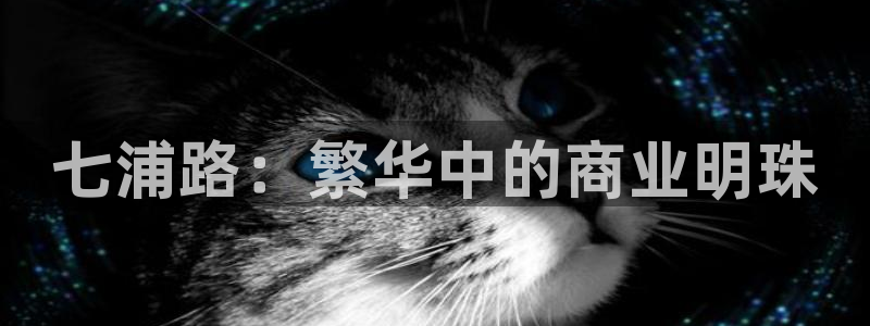 乐发IV平台注册